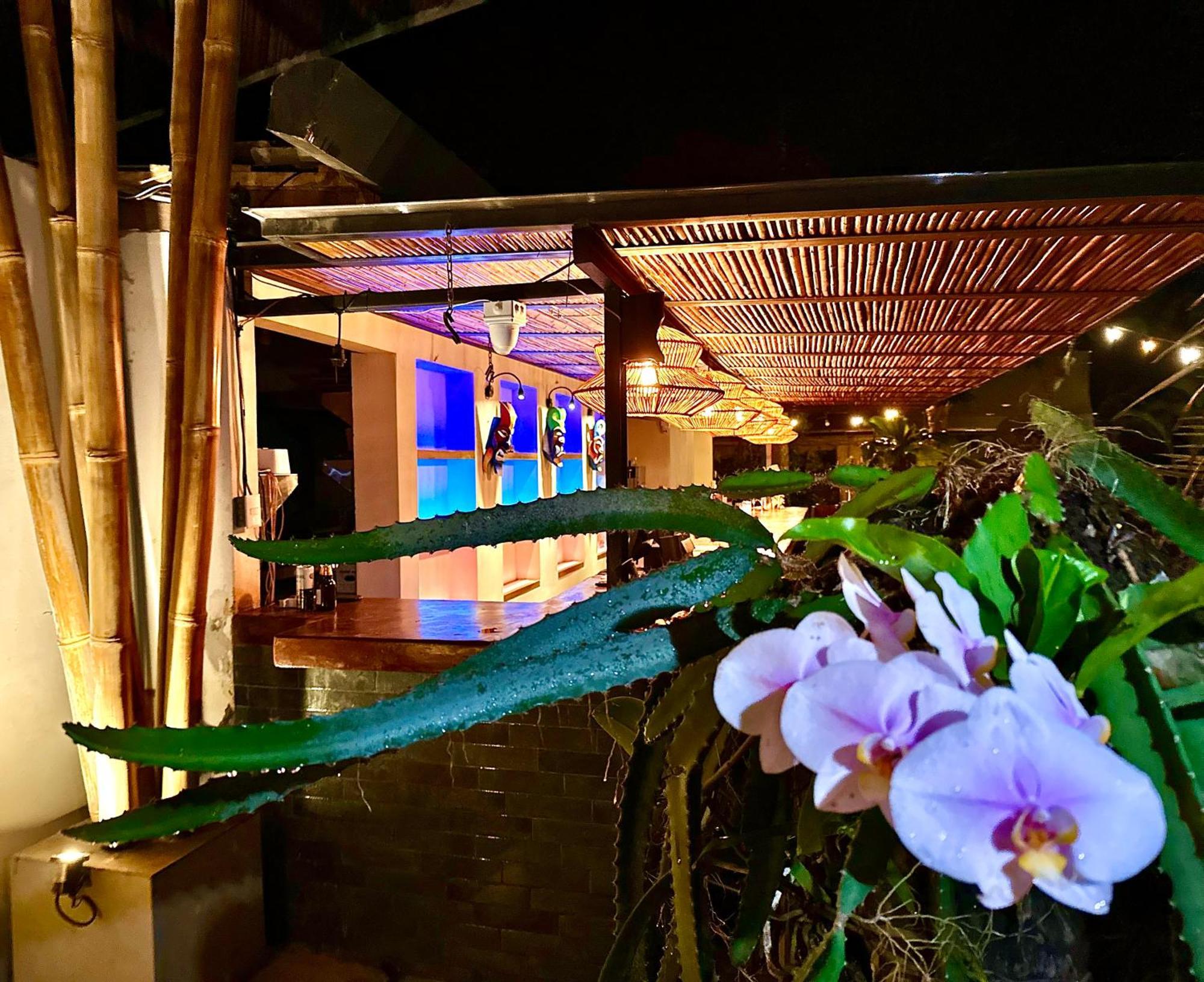 Curiol Boutique Hotel & Lounge 포트레로 외부 사진